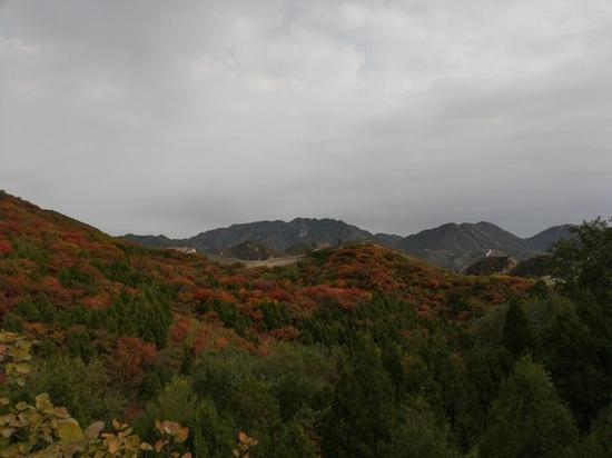 荣耀畅玩7X样张