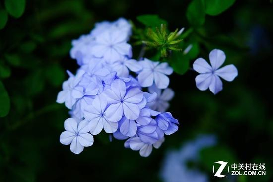 富士X-E3样片（简单后期处理后样片）