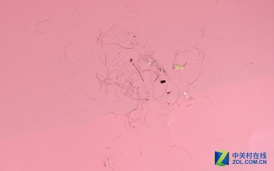 清理出不知何处的毛发和食物残渣、小强等……