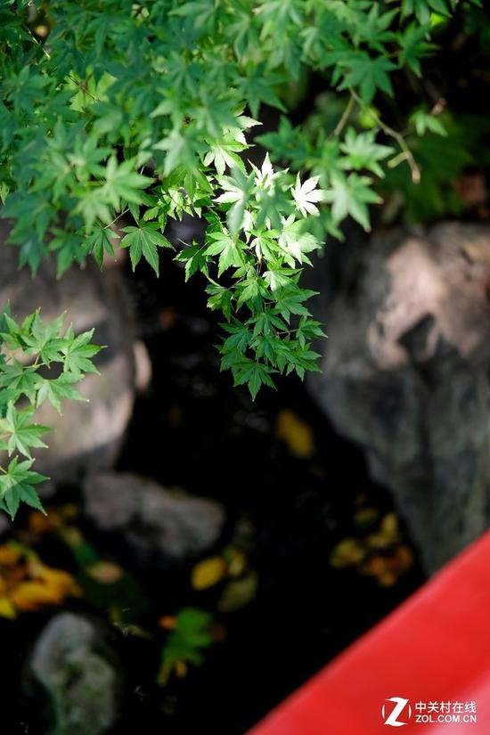 富士X-E3样片（简单后期处理后样片）