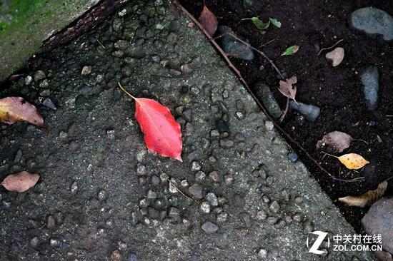 富士X-E3样片（简单后期处理后样片）