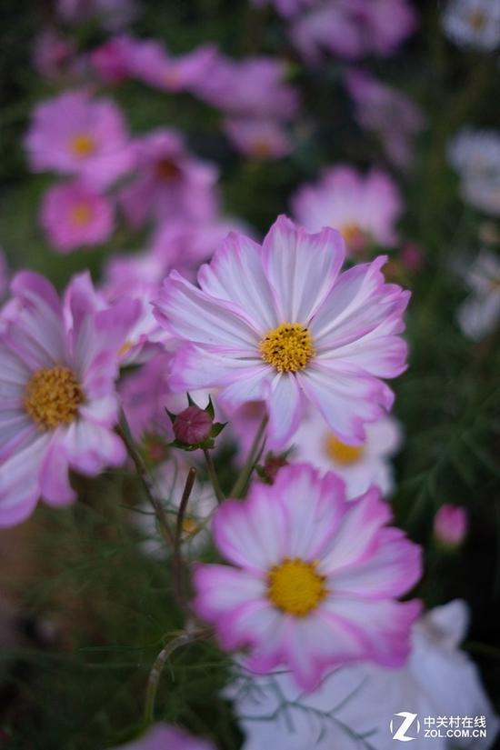 富士X-E3高感样片