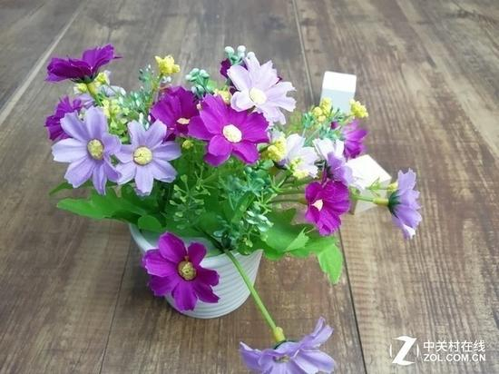 后置摄像头样张