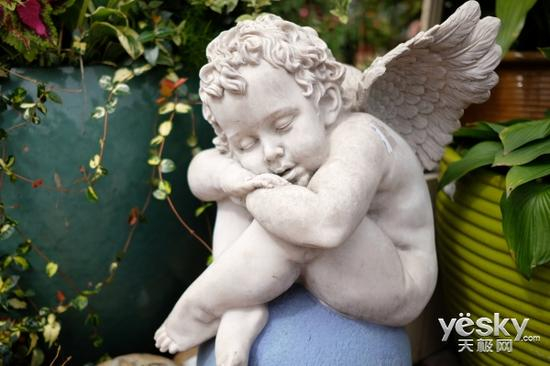 快门速度：1/3800秒 光圈：F2 感光度：ISO200 焦距：23mm 风格：PROVIA