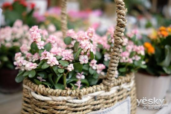 快门速度：1/1000秒 光圈：F2 感光度：ISO200 焦距：23mm 风格：PROVIA