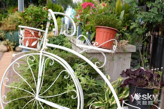 快门速度：1/3200秒 光圈：F2 感光度：ISO200 焦距：23mm 风格：PROVIA