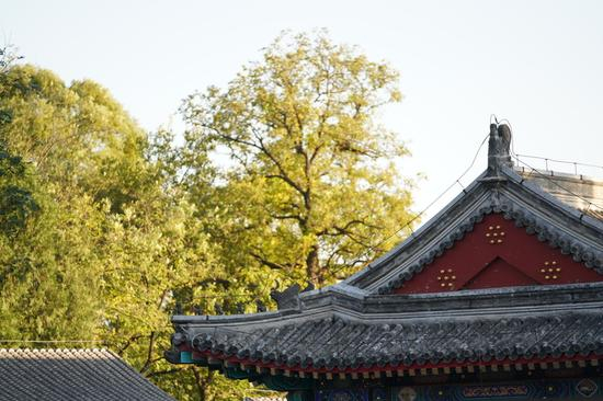 焦距：200mm　 光圈：f/2.8　 ISO感光度：640