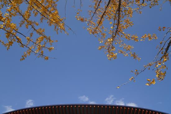 焦距：26mm　 光圈：f/4.5　 ISO感光度：100