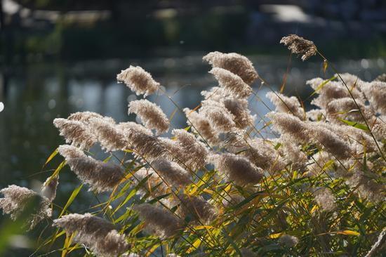 焦距：200mm　 光圈：f/2.8　 ISO感光度：100