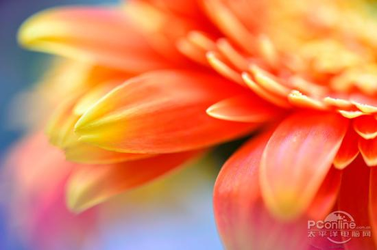 腾龙 SP 90mm F/2.8 Di MACRO 1：1 VC USD 官方样张