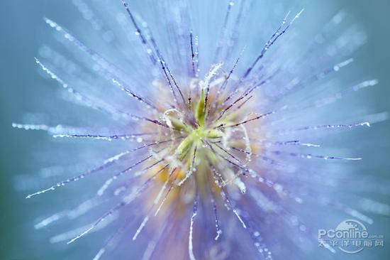 腾龙 SP 90mm F/2.8 Di MACRO 1：1 VC USD 官方样张