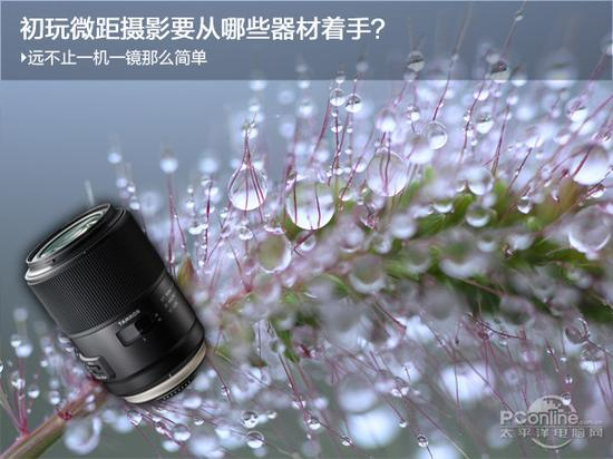 腾龙 SP 90mm F/2.8 Di MACRO 1：1 VC USD
