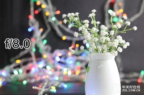f/8.0景深及虚化效果