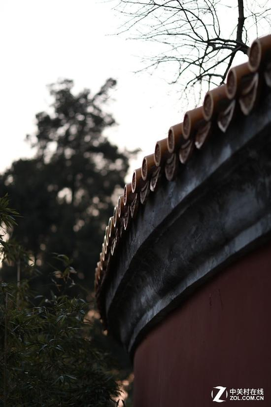 佳能EF&nbsp;85mm&nbsp;f/1.4L&nbsp;IS&nbsp;USM样张