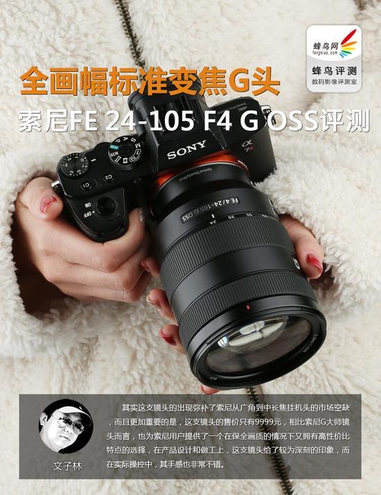 お買い物 【程度極上】SONY FE 24-105mm F4 G OSS SEL24105 | solinvet.com