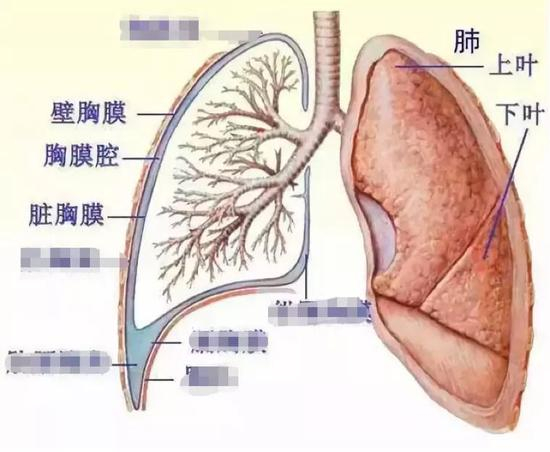 来源丨兰世亭公众号