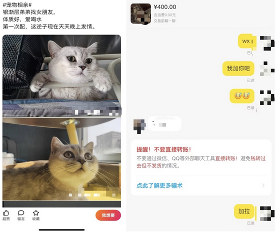 图片来源：访谈者提供