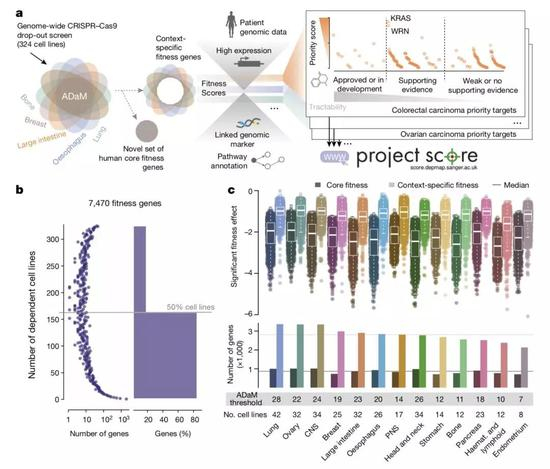 ▲&nbsp;看上去就贼复杂的实验过程[1]