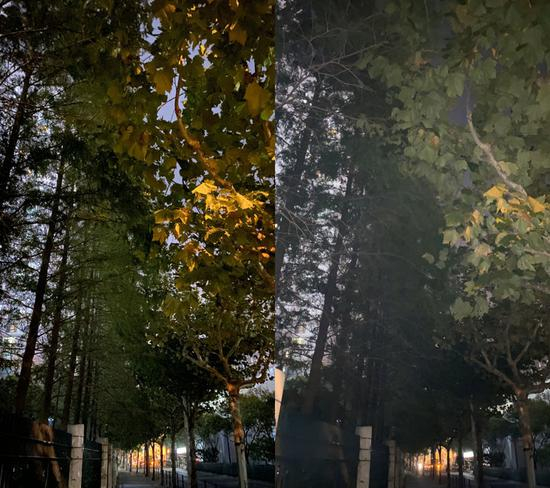  ▲ 左侧开启夜景模式后，显然比右侧打开闪光灯的照片更清晰。 图片来自：251tom