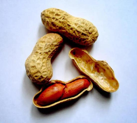 花生油至今仍是常见食用油 | Wikimedia Commons，Texnik