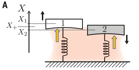 该实验示意图 图片来源：Science&nbsp;vol。 372 no。 6542 625-629