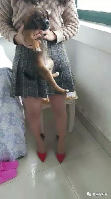 ▲一名女子在虐杀前，展示将要虐杀的小狗。&nbsp;&nbsp;&nbsp;&nbsp;视频截图