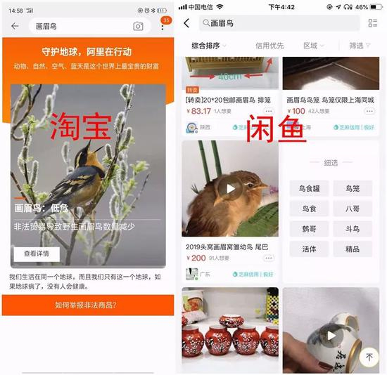 淘宝和闲鱼的搜索结果天差地别