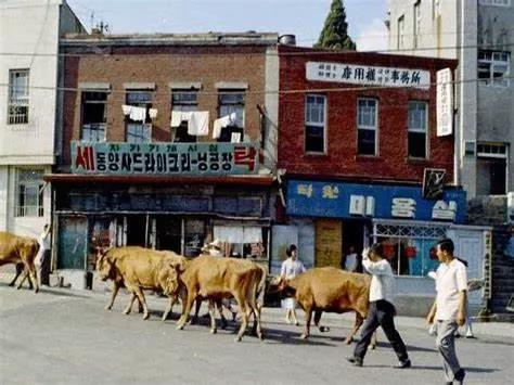 韩国首尔1960年代街头