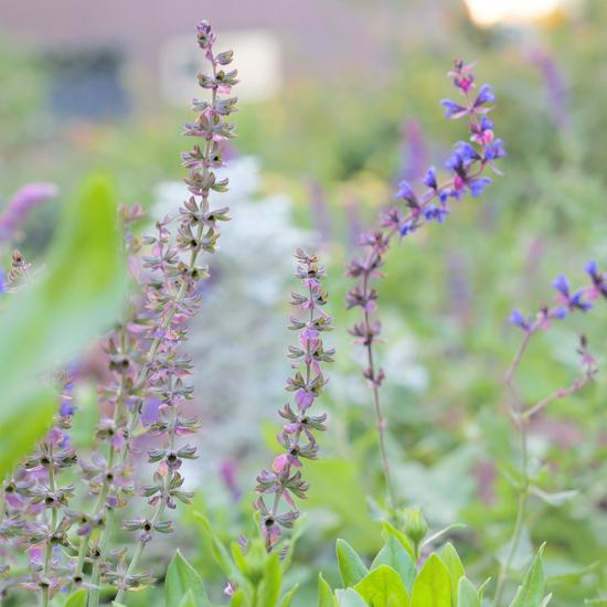 相机支持1：1画幅模式