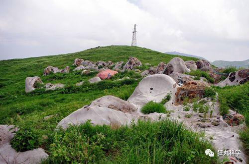 （来源自wiki，2016年左右照片）