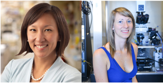 图 | Tye（左）和 Matthews（右）（来源：TYE LAB 官网）