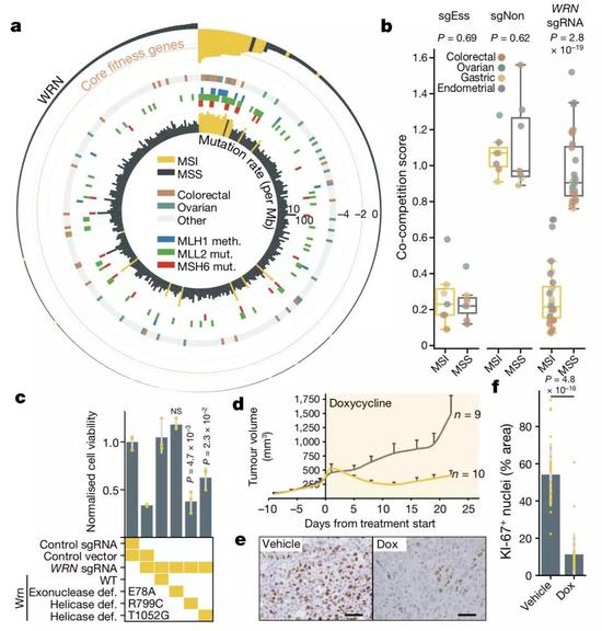 ▲&nbsp;就是这张图，暗藏WRN和MSI之间的关系[1]
