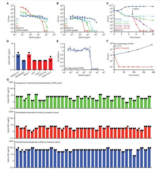 Halicin是一种广谱杀菌抗生素