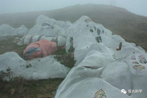 （2011时的状态）