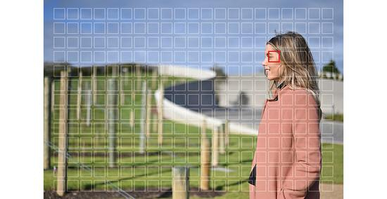 273点混合式AF自动对焦系统