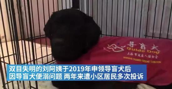 图 | 相关新闻视频截图（来源：网络）