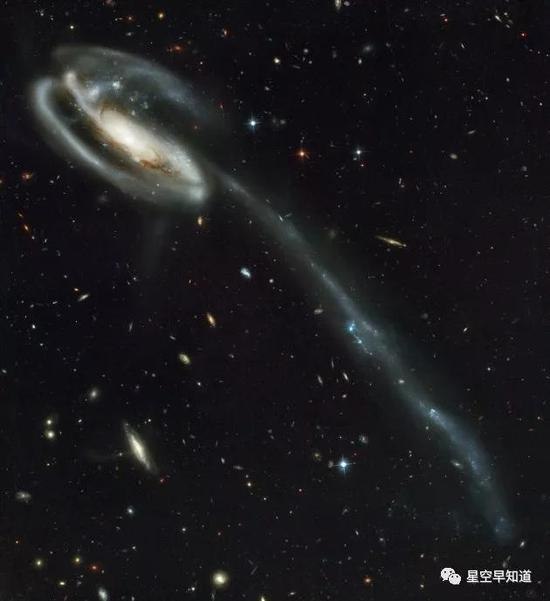 蝌蚪星系，这个星系的诡异形状可能与远古时期的一次星系间碰撞有关&nbsp;&nbsp;来源：NASA/hubblesite.org