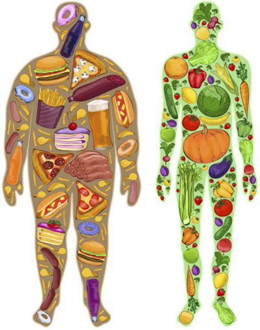 How Long Does It Take To Lose Weight？图片来源：https：//www.pritikin.com/your-health/health-benefits/healthy-weight-loss/1723-healthy-weight-loss-plan.html
