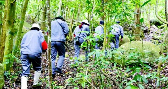 图中护林员正在山中巡查 图片来源：人民网