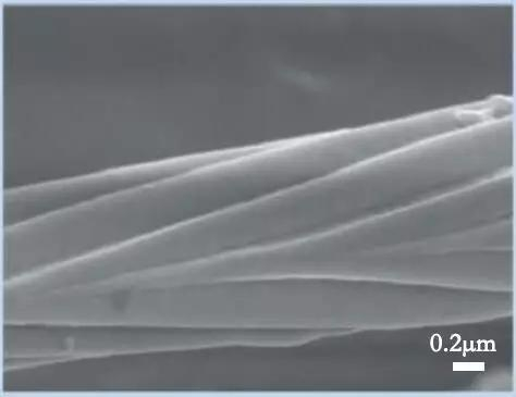 （图片来源：参考文献[2]）