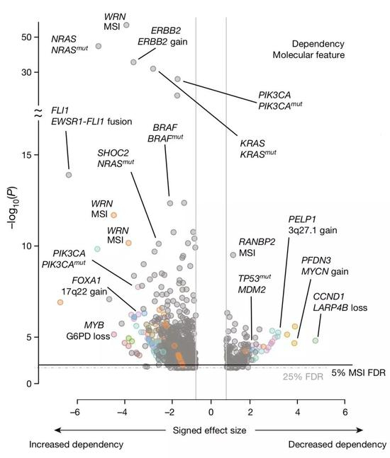 ▲&nbsp;靶点（上面一行）和对应的生物标志物（下面一行）[1]