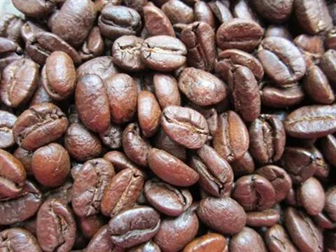 云南小粒咖啡豆&nbsp;来源 | www.foodqs.cn