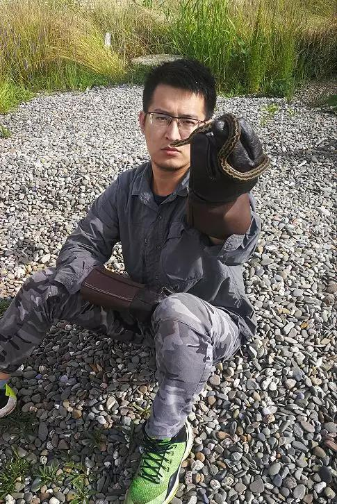 史静耸在四川甘肃青海发现的新种若尔盖蝮