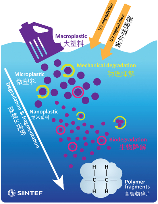 塑料在海洋中的变化示意图| “微塑料”是直径小于4.75mm的塑料颗粒，“纳米塑料”是直径小于0.1微米的塑料颗粒。图源@Cj Beegle-Krause/文献[15]