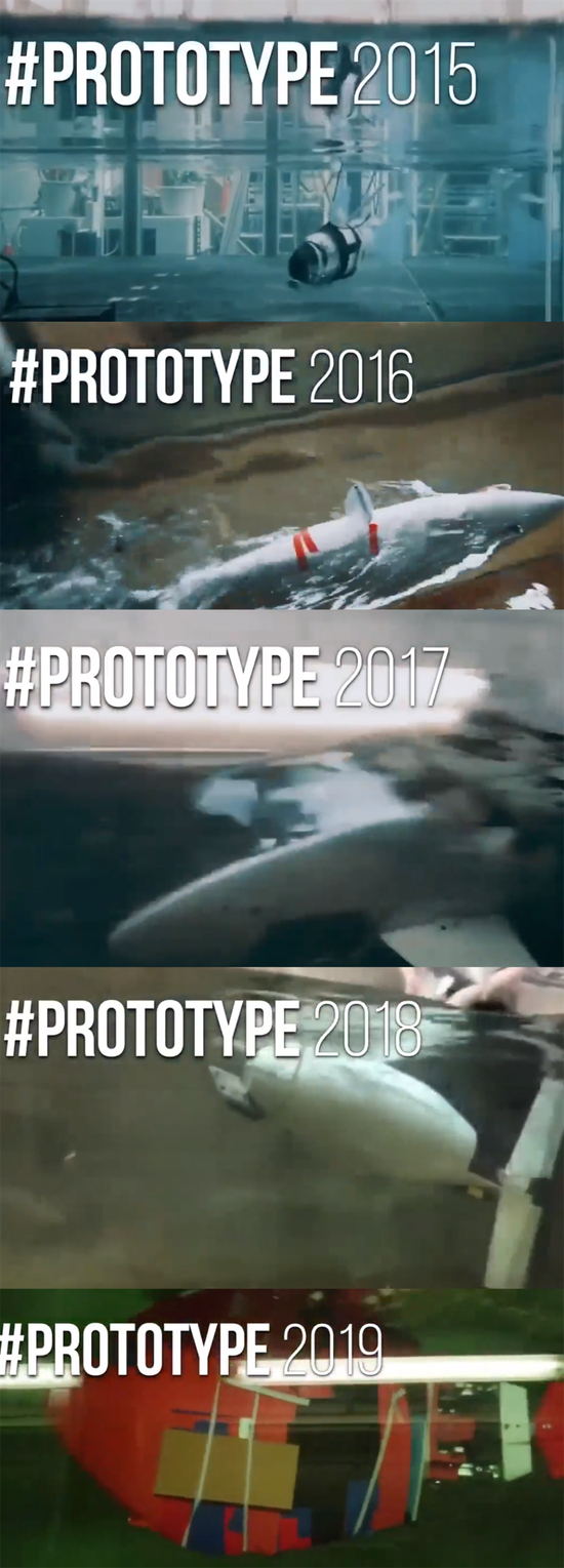 图 | 鱼身的多次迭代（来源：香港大学）