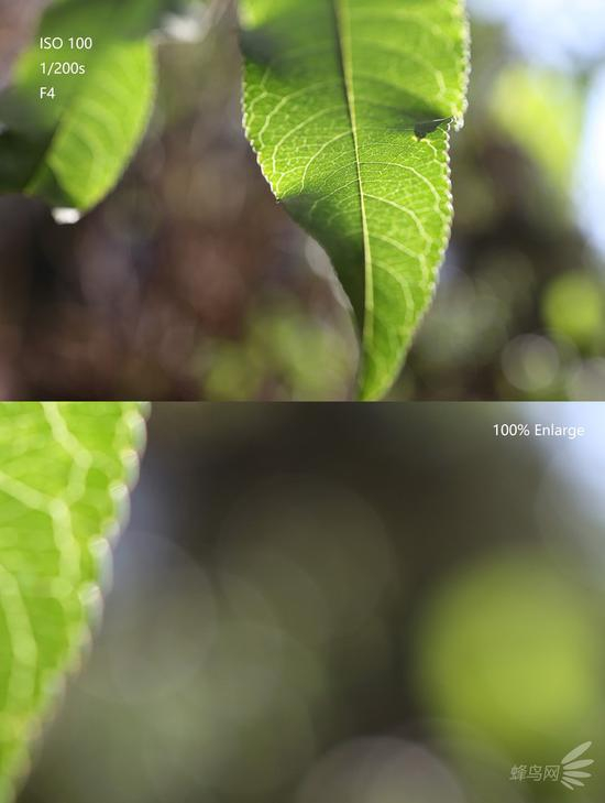 佳能RF 35mm f/1.8 MACRO在F4光圈下拍摄的焦外散景