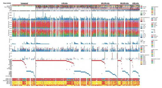 不同剂量下，甲状腺肿瘤中带有的突变类型