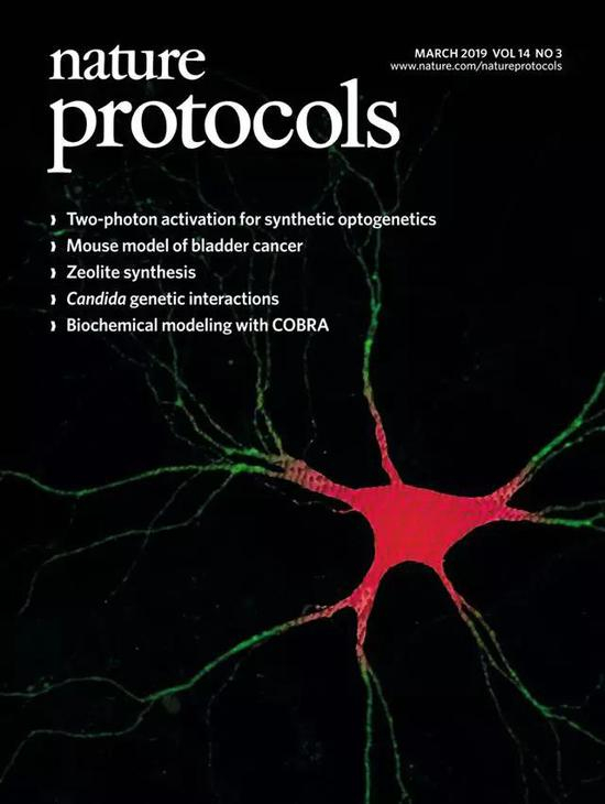 2019年3月 第14卷 第3期