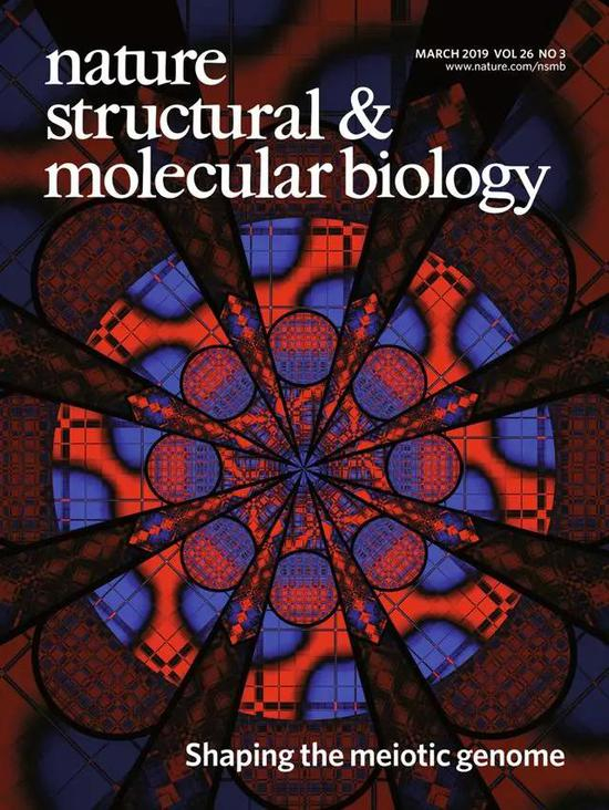 2019年3月 第26卷 第3期