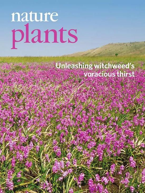 2019年3月 第5卷 第3期